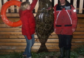 Halibut 90 kilo